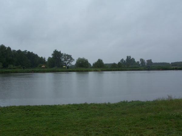 43_Kwasow02.jpg