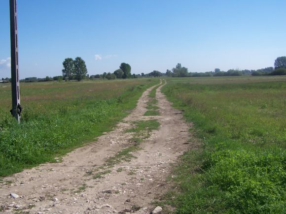 55_Drogi06.jpg