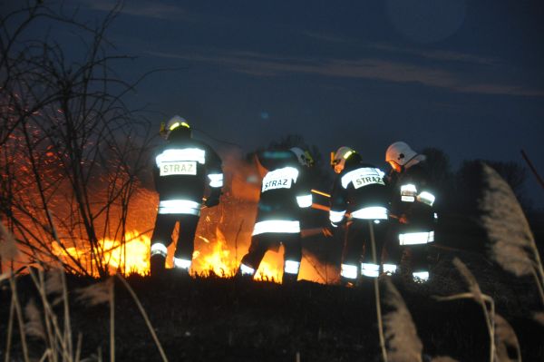 0093_Trawy6.jpg